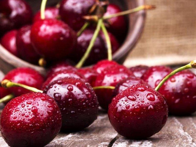 Вишня купить саженцы из питомника в Ишиме